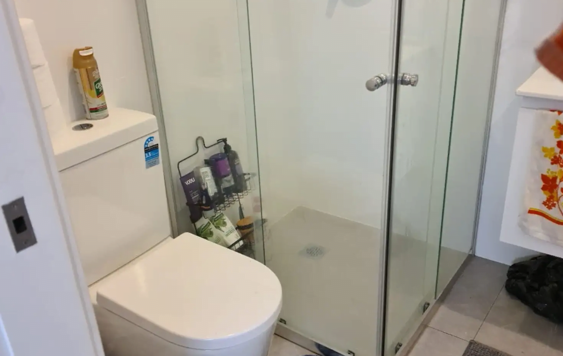 11A Lancelot Street, Blacktown NSW 2148 (2)